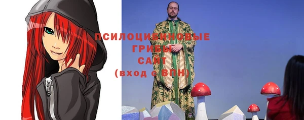 гашик Гусиноозёрск