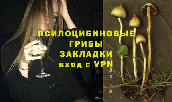 apvp Дмитровск