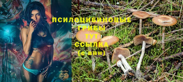 гашик Гусиноозёрск