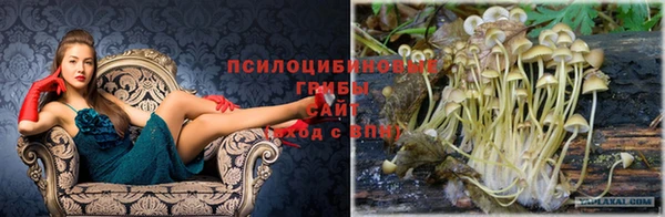 каннабис Гусь-Хрустальный
